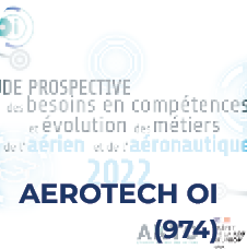 Étude prospective des besoins en compétences et des évolutions des métiers de la filière de l’aérien et de l’aéronautique à la Réunion