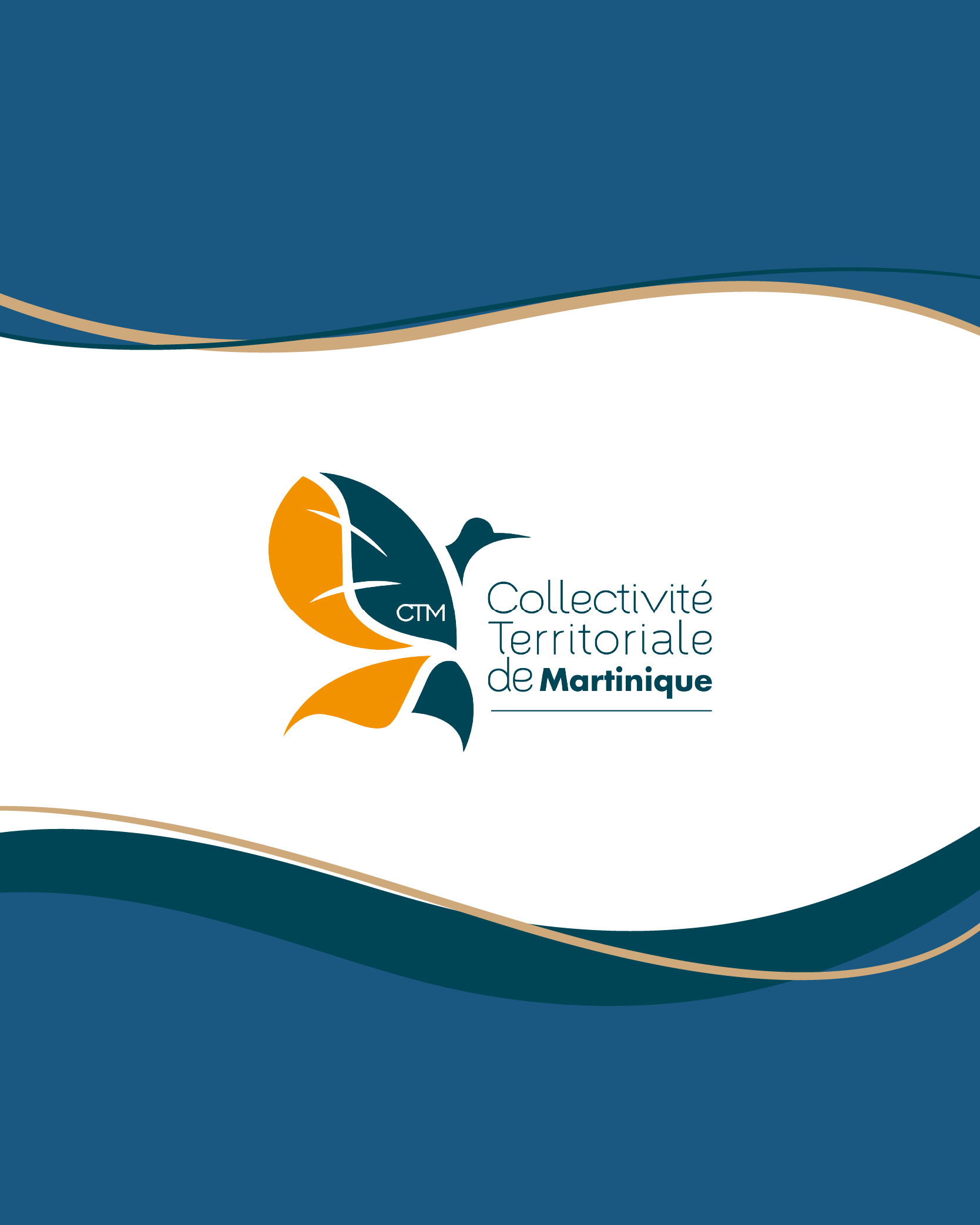 Mise en place d'une GPEEC territoriale